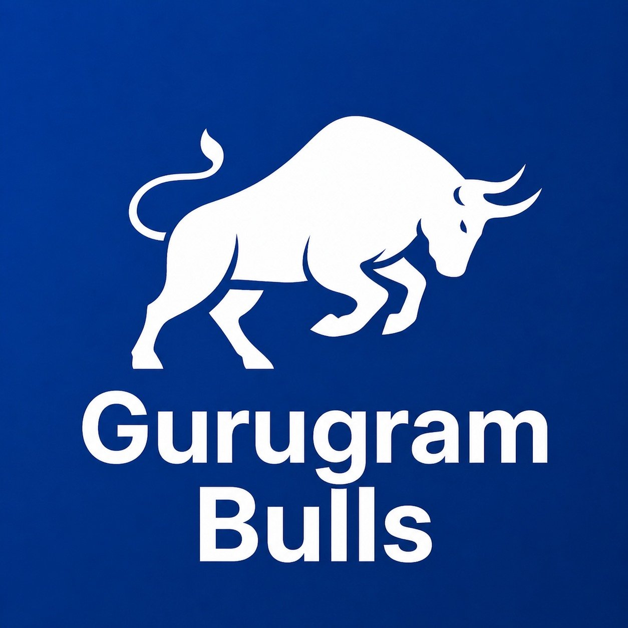 Gurugram Bulls
